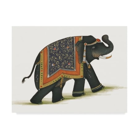 Wild Apple Portfolio 'India Elephant I Light Crop' Canvas Art,35x47